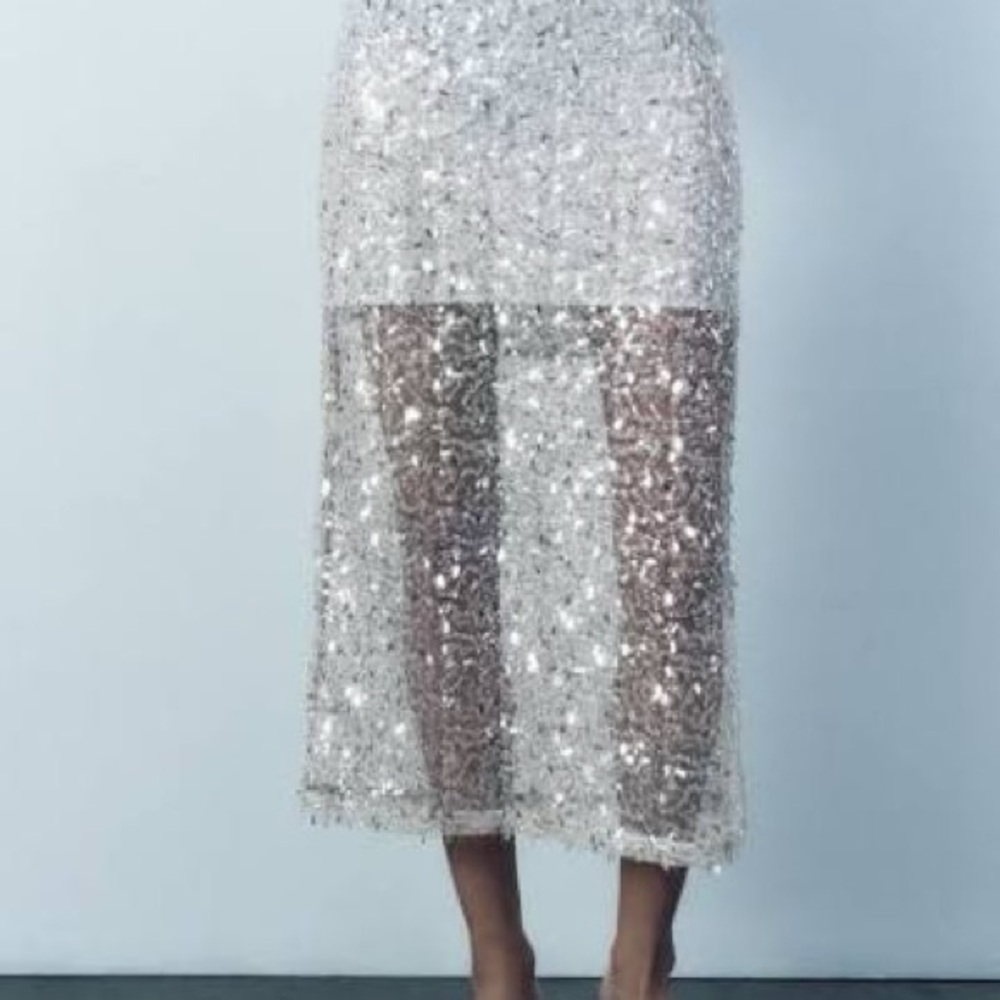 NWT Zara sequin Midi skirt